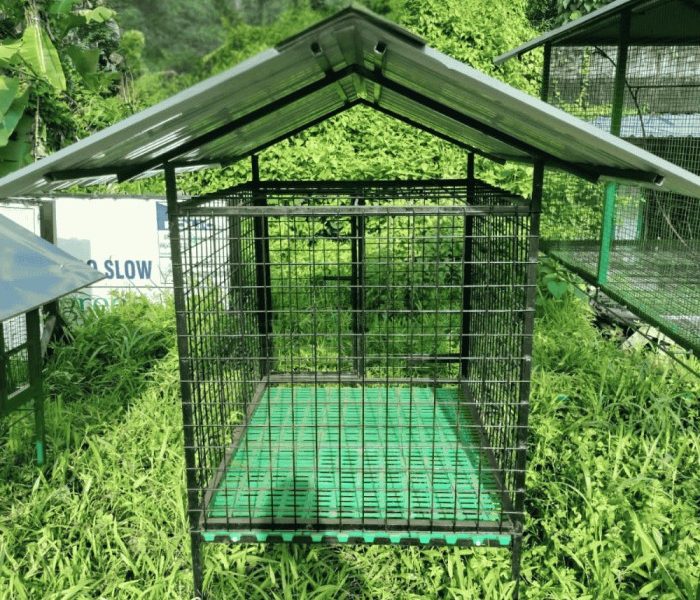 dog kennel
