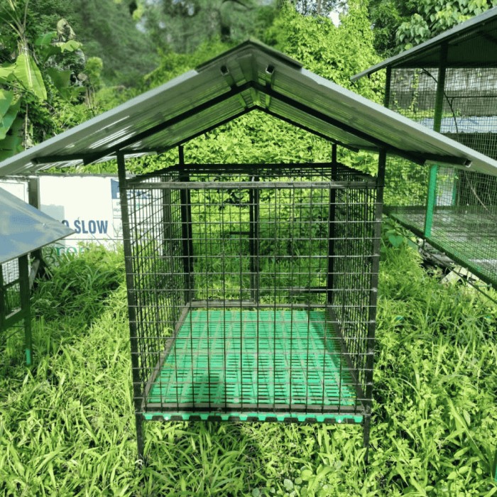dog kennel